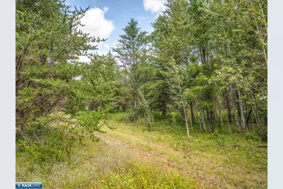 Tract C Hwy 21, Babbitt, MN 55706 - Photo 6