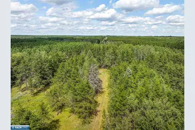 Tract C Hwy 21, Babbitt, MN 55706 - Photo 4