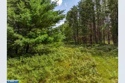 Tract B Hwy 21, Babbitt, MN 55706 - Photo 6