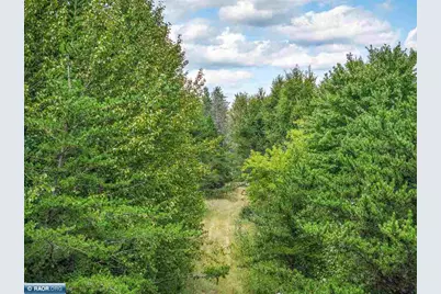 Tract B Hwy 21, Babbitt, MN 55706 - Photo 2
