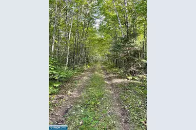 9395 Fr 259, Cook, MN 55723 - Photo 12