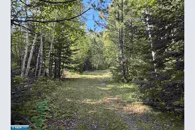 9341 Biss Rd, Britt, MN 55710 - Photo 46