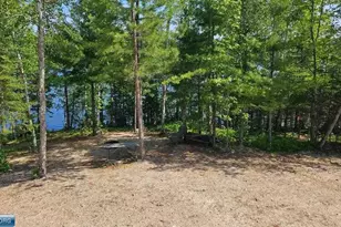 7340 Hinsdale Island, Cook, MN 55723 - Photo 20