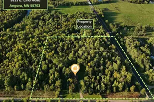 9913 E Lind Rd, Angora, MN 55703 - Photo 2