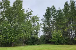 4079 Hwy 21, Embarrass, MN 55732 - Photo 22