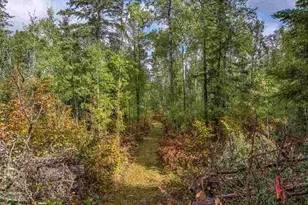 4965 Waisanen Rd, Embarrass, MN 55732 - Photo 32