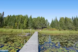 62242 Dahlberg Trl, Togo, MN 55723 - Photo 38