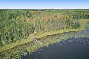 62242 Dahlberg Trl, Togo, MN 55723 - Photo 48