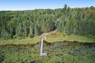 62242 Dahlberg Trl, Togo, MN 55723 - Photo 40