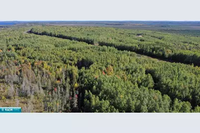 Tbd Parcel 6 Hwy 115, Tower, MN 55790 - Photo 6