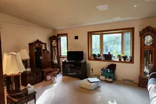 3334 Hwy 53, Ray, MN 56649 - Photo 8