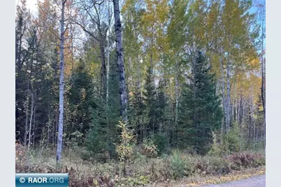 Tbd Lost Lake Rd., Tower, MN 55790 - Photo 12