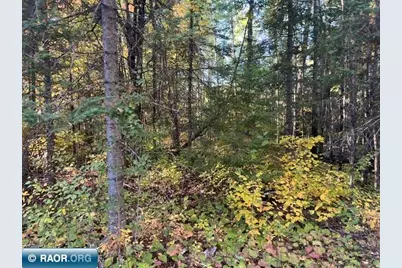Tbd Lost Lake Rd., Tower, MN 55790 - Photo 2