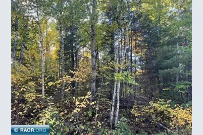 Tbd Lost Lake Rd., Tower, MN 55790 - Photo 10