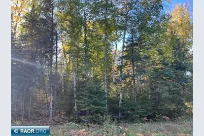Tbd Lost Lake Rd., Tower, MN 55790 - Photo 8