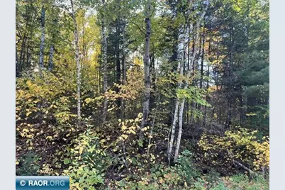 Tbd S Loon Lake Rd., Aurora, MN 55705 - Photo 12