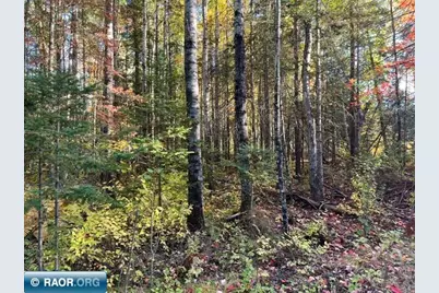 Tbd S Loon Lake Rd., Aurora, MN 55705 - Photo 6