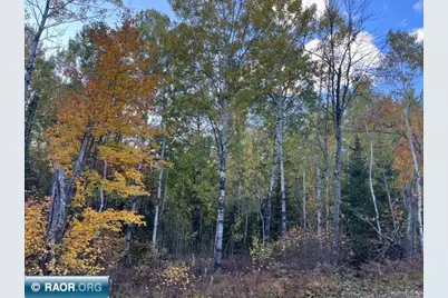 Tbd S Loon Lake Rd., Aurora, MN 55705 - Photo 1