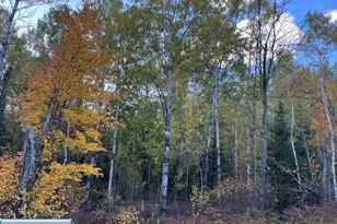 Tbd S Loon Lake Rd, Aurora, MN 55705 - Photo 1