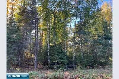 Tbd S Loon Lake Rd., Aurora, MN 55705 - Photo 10