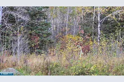 Tbd 28.9 Rangeline Rd, Orr, MN 55771 - Photo 22