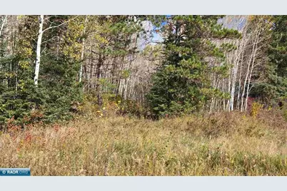 Tbd 28.9 Rangeline Rd, Orr, MN 55771 - Photo 16