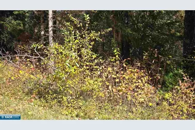 Tbd 28.9 Rangeline Rd, Orr, MN 55771 - Photo 24
