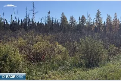 Tbd Nett Lake Rd, Orr, MN 55771 - Photo 6