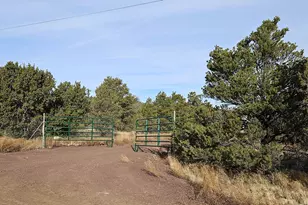 247 E Orchid Dr, Williams, AZ 86046 - Photo 1