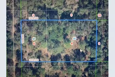 1939 S Griese, Avon Park, FL 33825 - Photo 1