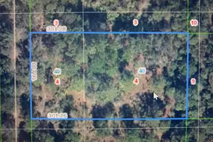1939 S Griese, Avon Park, FL 33825 - Photo 1