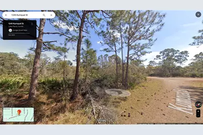 1245 Kumquat, Lake Placid, FL 33852 - Photo 2
