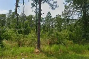 5115 Levante, Sebring, FL 33872 - Photo 1