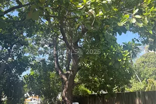 2530 Washington, Hollywood, FL 33020 - Photo 26
