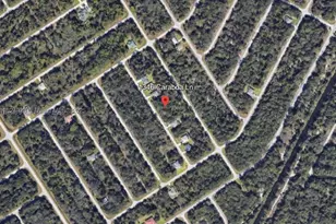 1346 Caraboa, Port Charlotte, FL 33953 - Photo 1