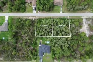723 Alamo St E, Lehigh Acres, FL 33974 - Photo 1
