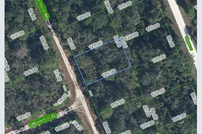 1131 Butternut, Lake Placid, FL 33852 - Photo 1