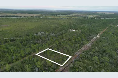 215 Ixora, Other Fl City, FL 33855 - Photo 20