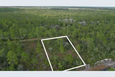 215 Ixora, Other Fl City, FL 33855 - Photo 2