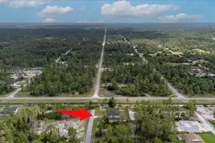 1201 Johns, Cape Coral, FL 33909 - Photo 68