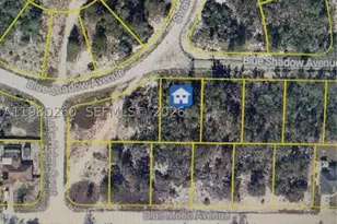 457 Ruba, Lake Placid, FL 33852 - Photo 1