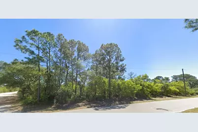 235 Deerwalk, Lake Placid, FL 33852 - Photo 2