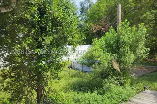 13518 War Admiral, Jacksonville, FL 32218 - Photo 18