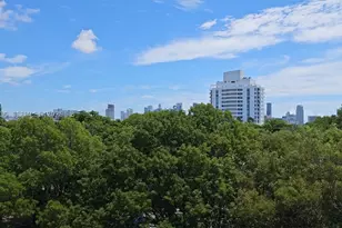 1650 Coral, Miami, FL 33145 - Photo 28