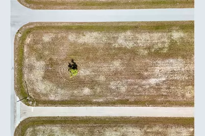 18 Cockatiel, Placida, FL 33946 - Photo 4