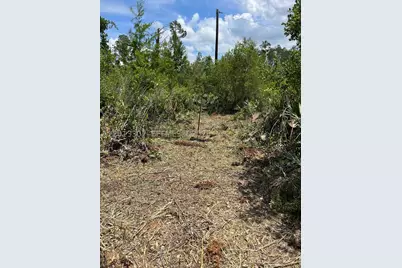 117 Lodge Pole, Georgetown, FL 32139 - Photo 4