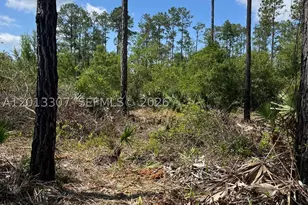 117 Lodge Pole, Georgetown, FL 32139 - Photo 1