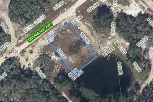 517 Dreamland, Lake Placid, FL 33852 - Photo 1