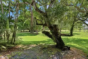 8886 SW 62nd, Miami, FL 33173 - Photo 36