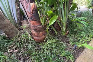 3024 Day, Miami, FL 33133 - Photo 68